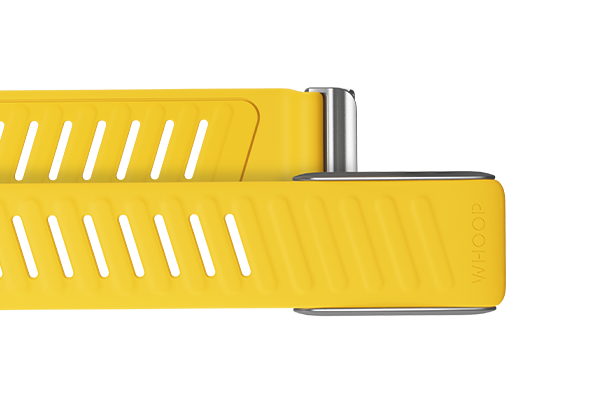 Flash SportFlex Band